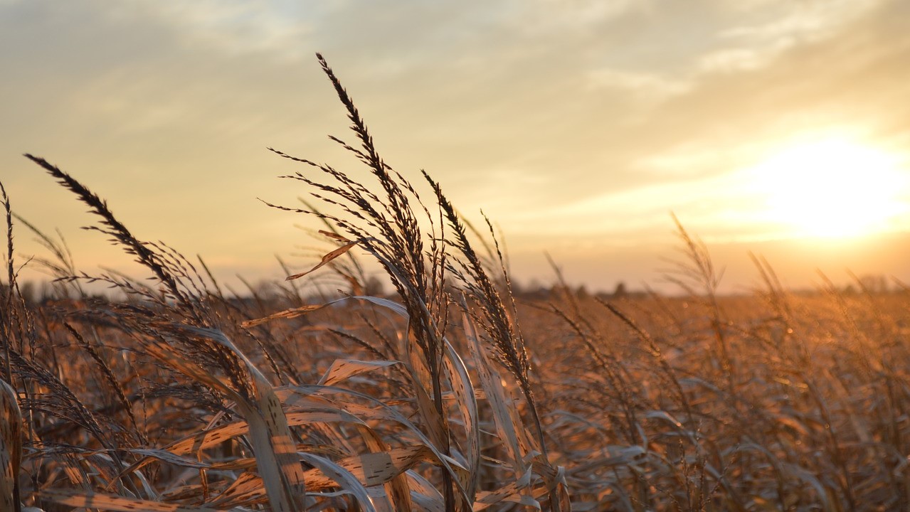 Introducing A New Video Series, &#8216;Legal Tech in the Heartland&#8217;